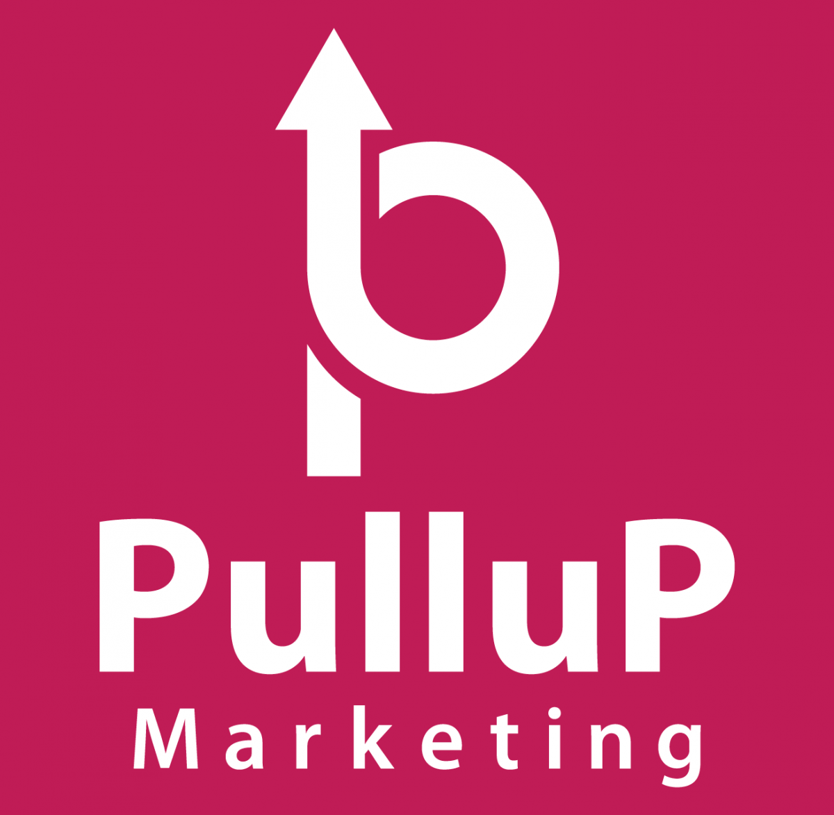 合同会社PulluP Marketing