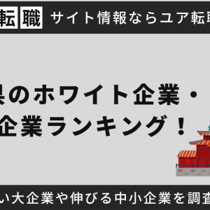沖縄県のホワイト企業・優良企業ランキング！年収が高い大企業や伸びる中小企業を調査【2025年最新】