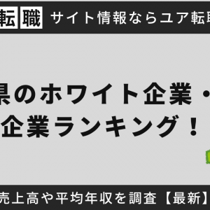 鳥取県の大手ホワイト企業・隠れ優良企業ランキング！売上高や平均年収を調査【2025年最新】