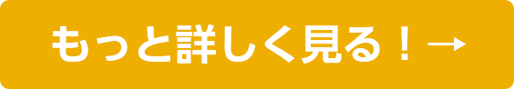 もっと詳しく見る