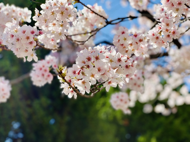 何 する 春休み 大学生